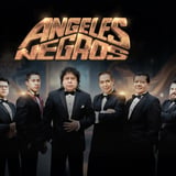Los Ángeles Negros