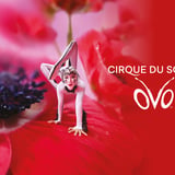 Cirque du Soleil OVO