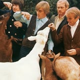 PET SOUNDS - Tribute To The Beach Boys