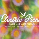 Electric Picnic 2026 - Early Entry Pass (Event Ticket Not Included)
