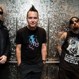PACKAGE HOSPITALITE BLINK-182