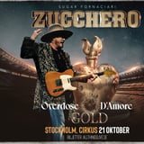 Zucchero