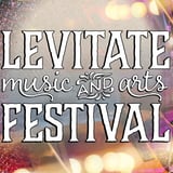 Levitate Music Festival