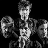 The Mountain Goats