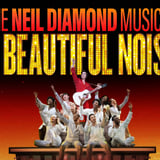 A Beautiful Noise