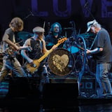 Neil Young and The Chrome Hearts