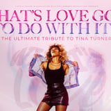 What's Love Got To Do With It - Tina Turner Tribute