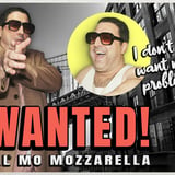Lil Mo Mozzarella