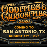 Oddities & Curiosities Expo: Sunset Moth Entomology Class 10 AM-12 PM