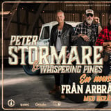 Peter Stormare – Från Arbrå till Hollywood