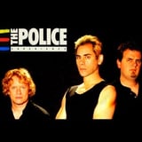 The Police Experience