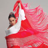 Gala De Cierre Festival Internacional Flamenco MX 2026