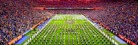 Ben Hill Griffin Stadium