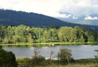 Deer Lake Park