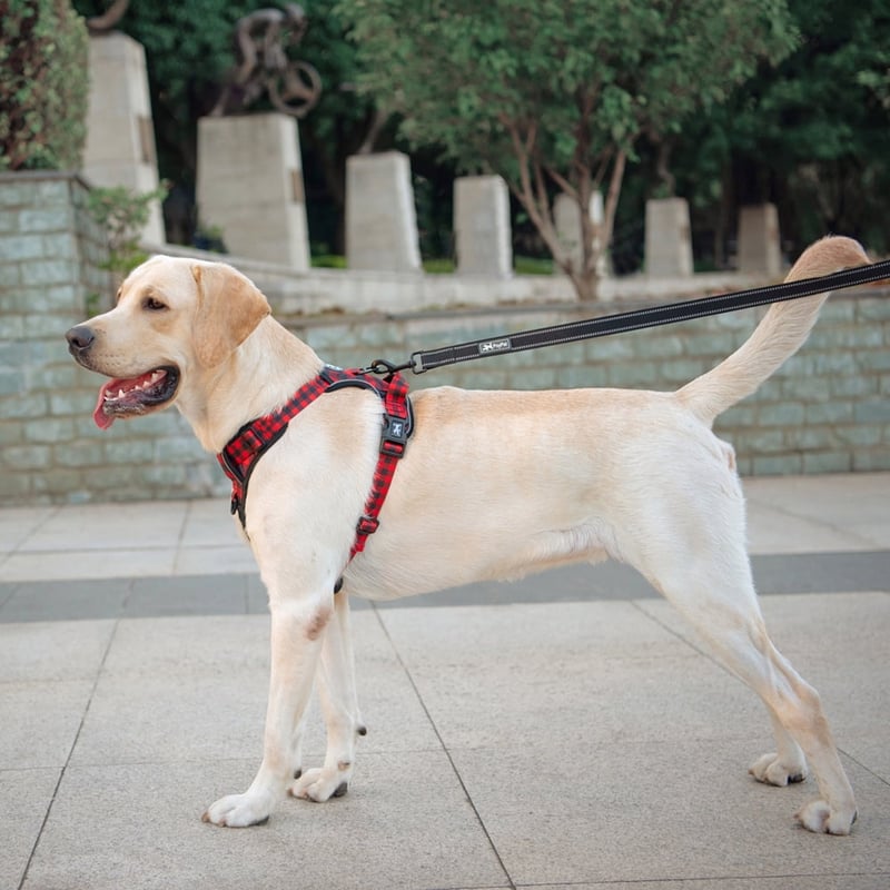 Cocker Spaniel Nylon Dog Harnesses For Sale, 59 OFF