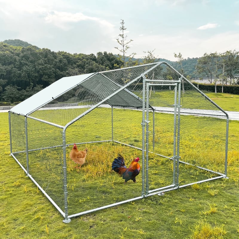 Large Metal Chicken Coop WalkIn Chicken Run Ft Peaked Roof, 48 OFF