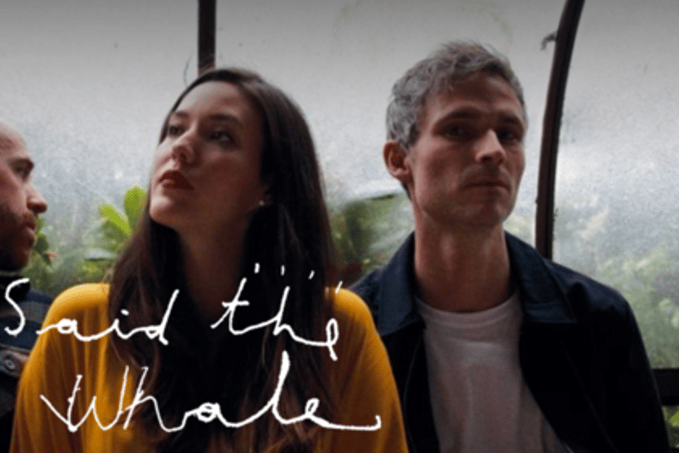 Said the Whale
